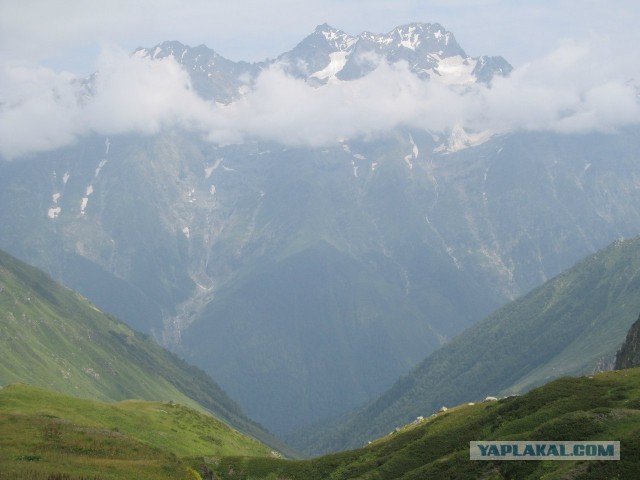 В горах. Абхазия.