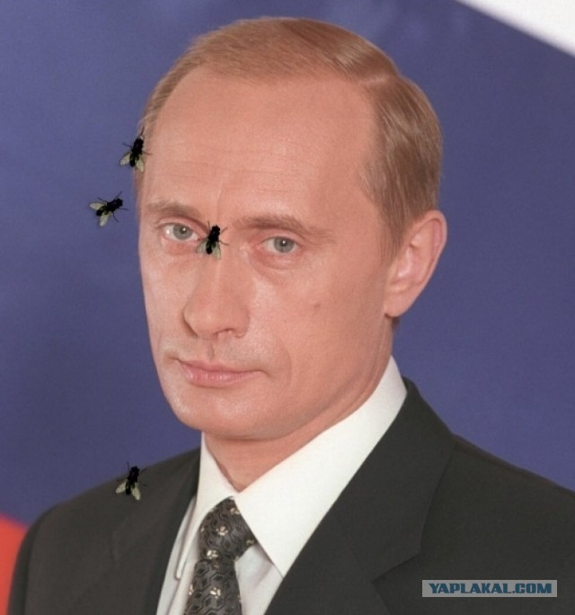 10 лучших афоризмоф Владимира Путина