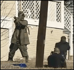 Черепашко-ниндзя атакует полицейских