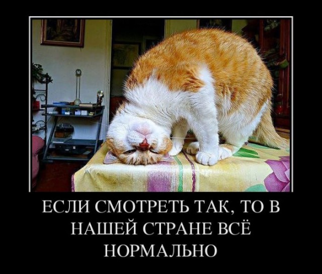 Кадыров: Намек был понят