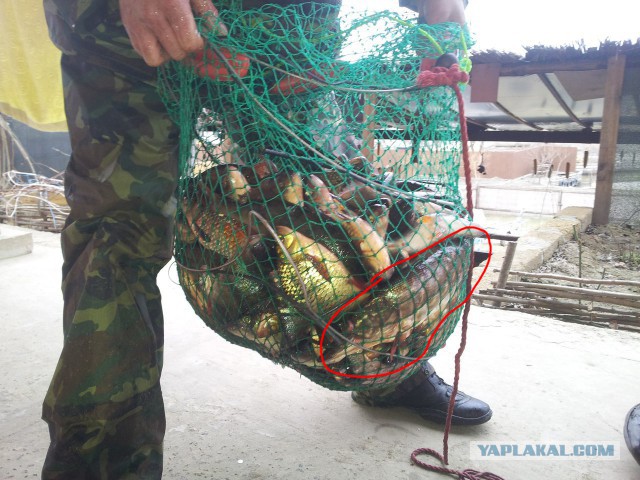 Открытие сезона рыбалки!