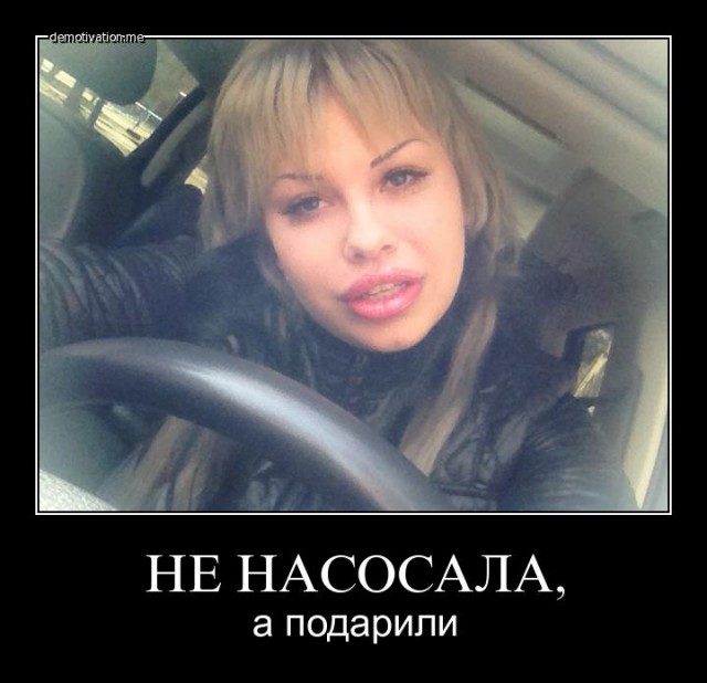 не насосала а подарили мем. яковлев не насосала а подарили. не насосала а подарили слушать. кот мем. не насосала а подарили слушать.