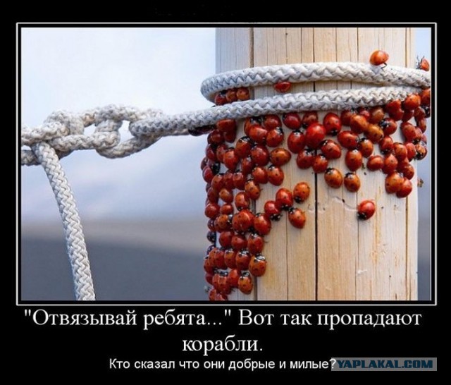 Давно демотиваторов не было