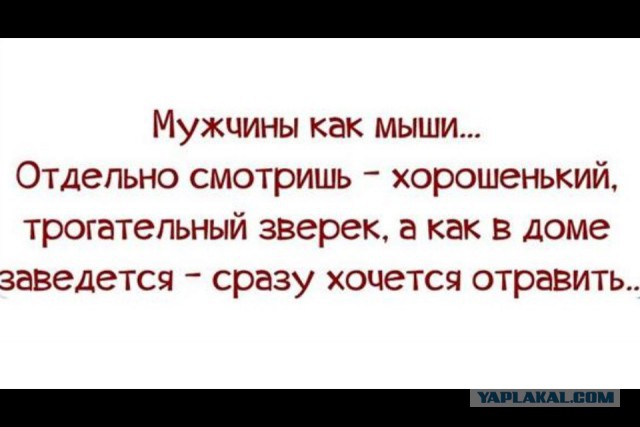 Смешные картинки - женская логика