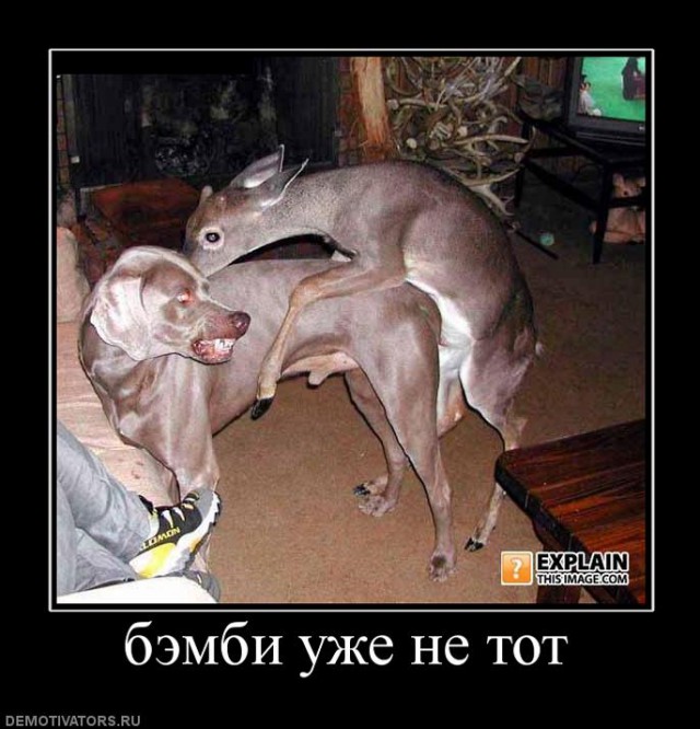 Старых добрых демотиваторов псто