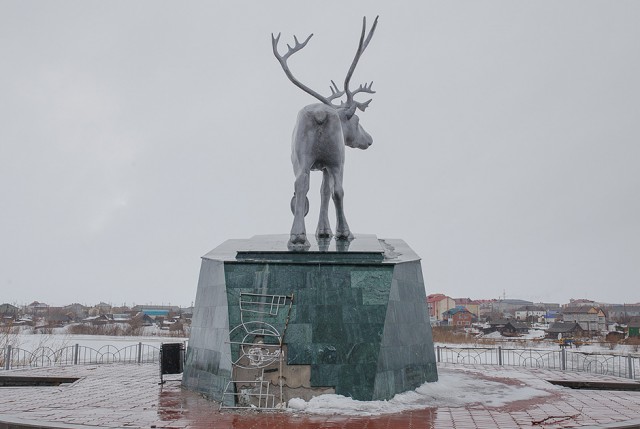 Один билет до Салехарда
