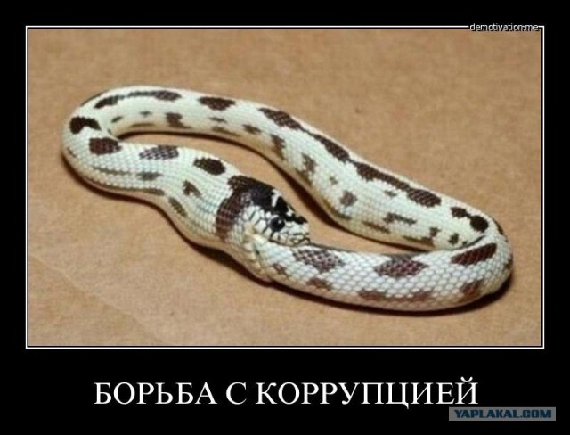 Убили молодую пару и веселятся!