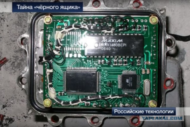 Боль и позор в прямом эфире