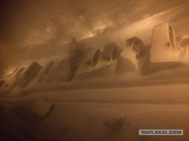 А во Владивостоке снова снежок