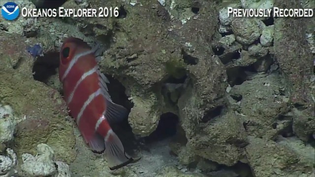 Началась онлайн-трансляция происходящего в самом глубоком месте Земли