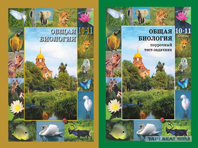 РПЦ теперь с детского сада...