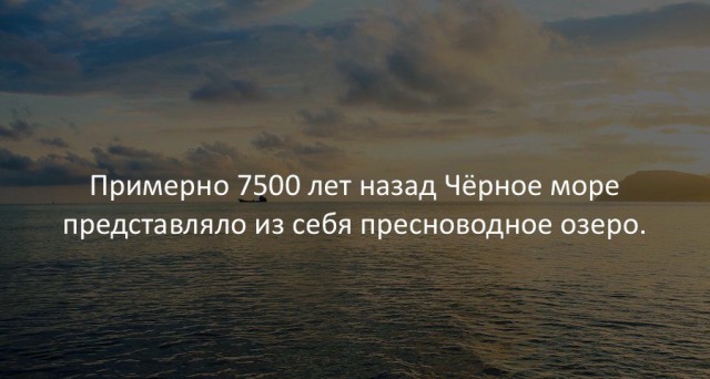 30 занимательных фактов