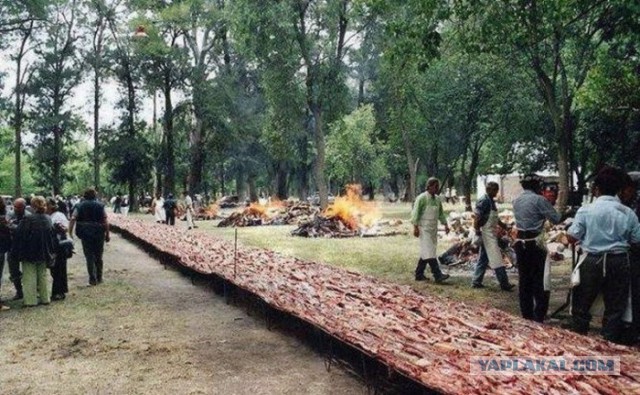 Самый длинный в мире шашлык