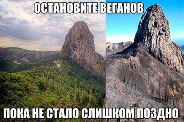Подборка интересных и веселых картинок