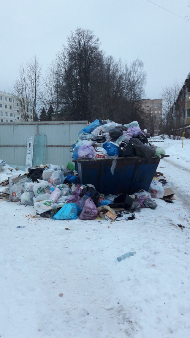 В Волоколамске жители вышли на митинг против свалки. Власти вызвали ОМОН