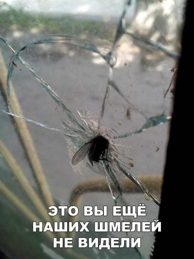 Прикольные картинки абавсём