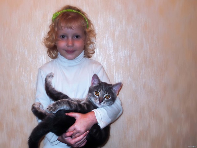 Котовторник! 11.10.11