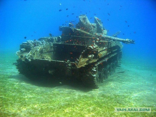 Wargaming 56