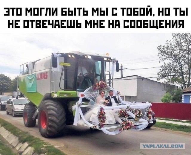 Забавные шутки, картинки и фразы из этих ваших интернетов