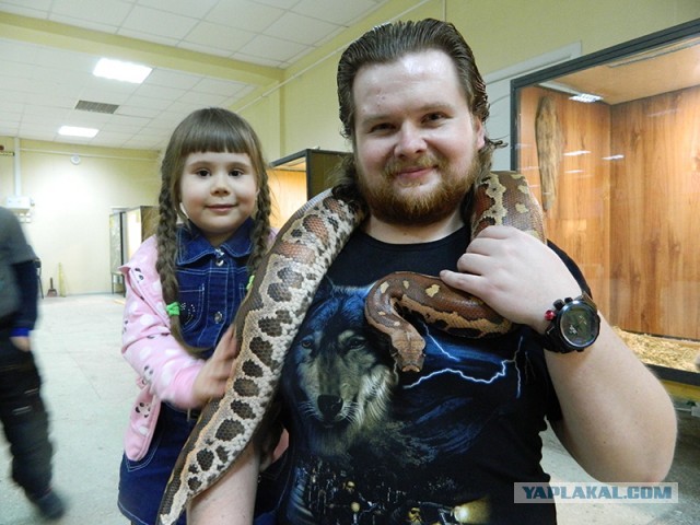 Большие папы и маленькие дети