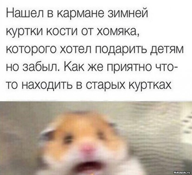 Немного картинок для настроения 30.08.20