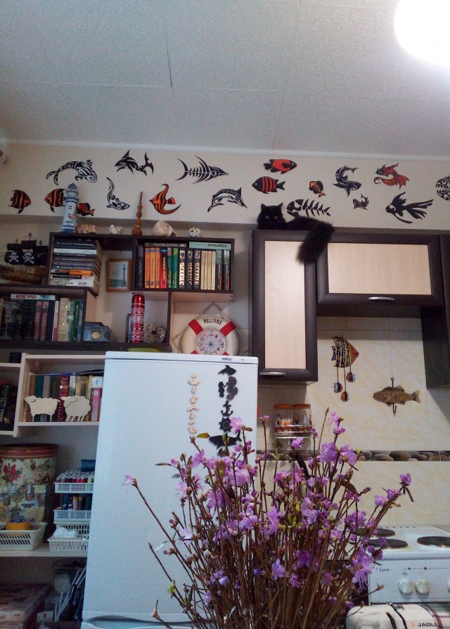 Даешь котовторник!