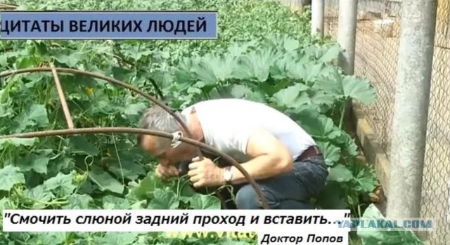 Медведев допустил введение обязательной вакцинации от коронавируса