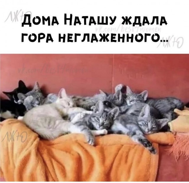 Картинки и мемы для настроения 27.09.2021