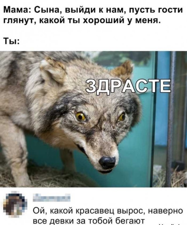 Баяны бабыЯны