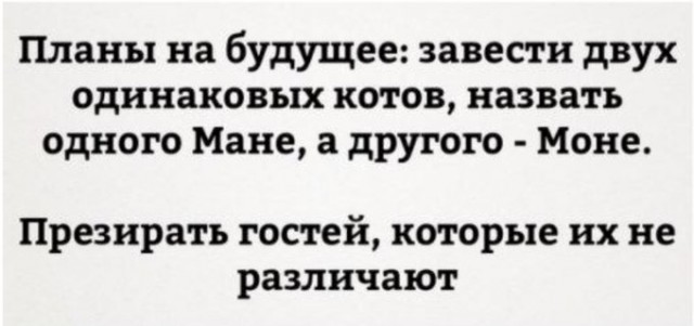 Вам в Петербург