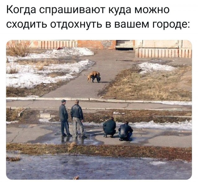 Картинки аморальные и всякие разные - 29