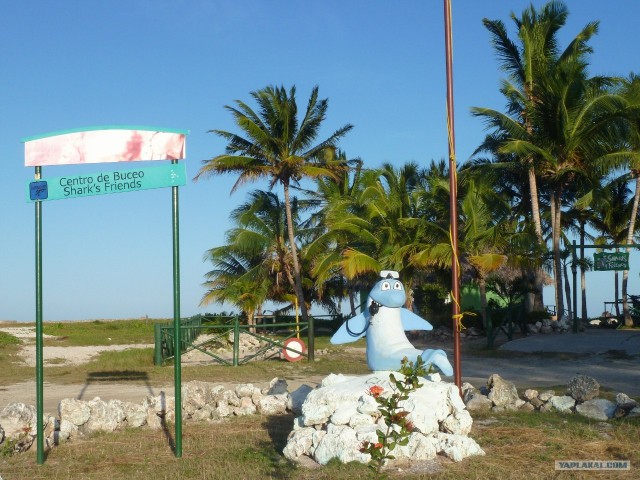 СUBA 24.12.2012 - 14.01.2013