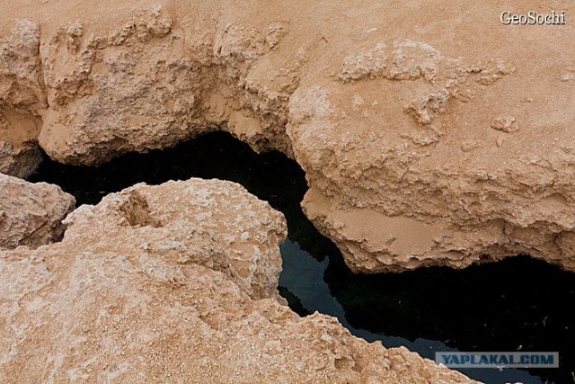 Синайские приключения. Шарм-эш-Шейх и окресности