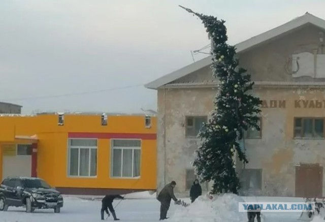 На Алтае поставили облезлую новогоднюю ель. Жители Заринска философски решили, что «какой год, такая и ёлка»
