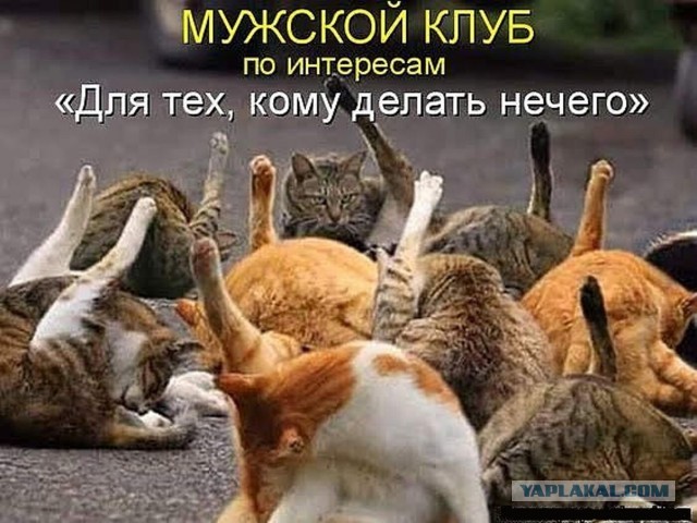 Депутат Госдумы предложил вернуться к переходу на зимнее и летнее время