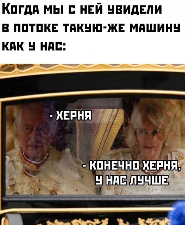 Весёлый полтишок 21.05.23