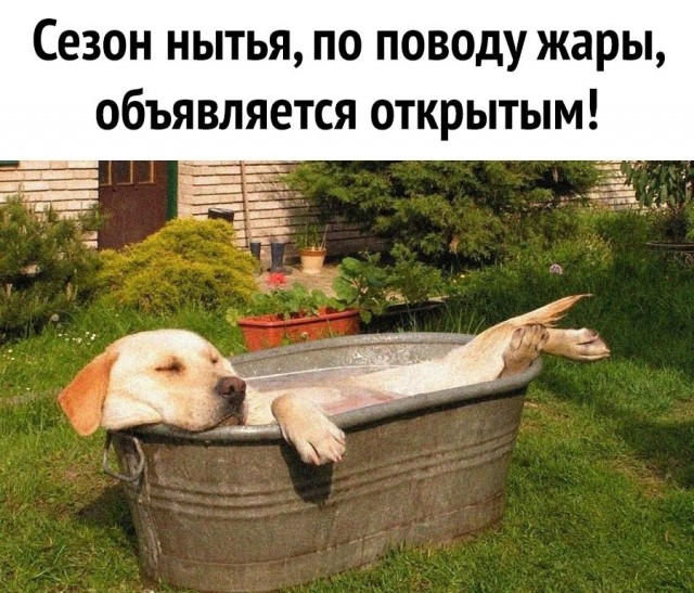 Чуток картинок 25.05.23