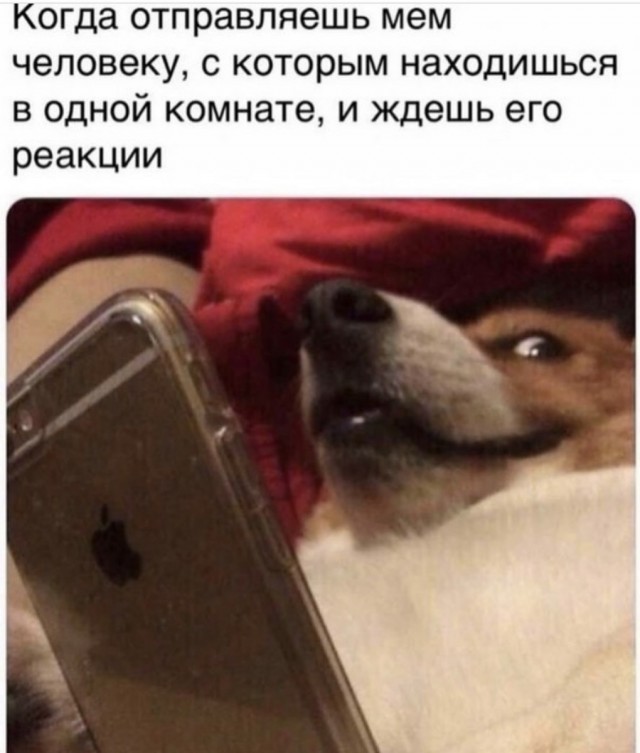 Смешные и не очень