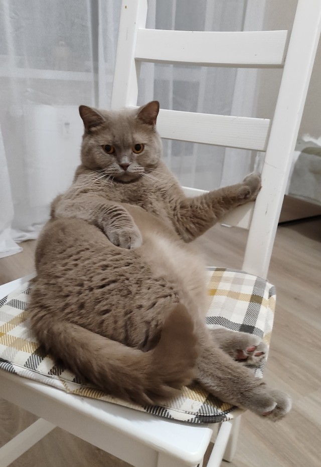 Дёмка вас желает видеть