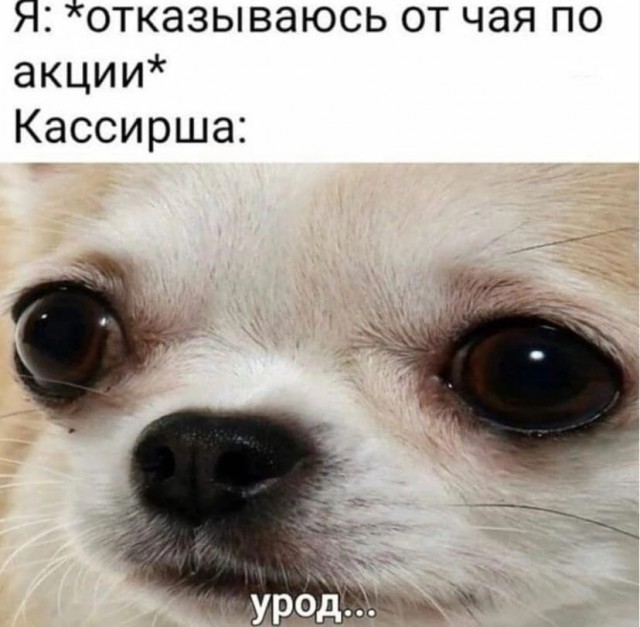 Недопятница 09-11-2023