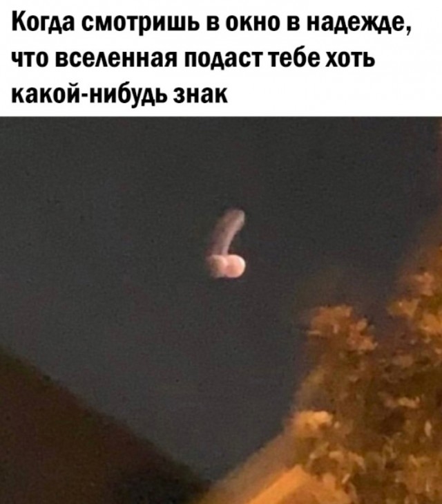 Весёлый полтишок 31.12.23