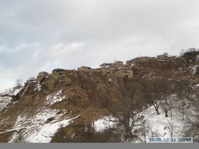 Голая модель автобусом добирается на работу ...