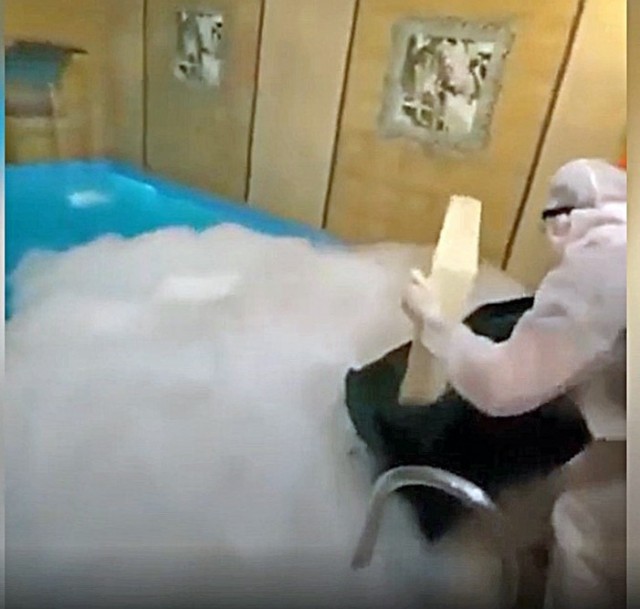 О пользе школьных знаний⁠⁠