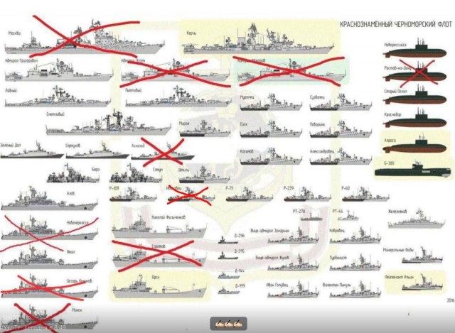 И юмор и зоозащита, и Украина! 3 in 1