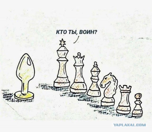 Фото дня!