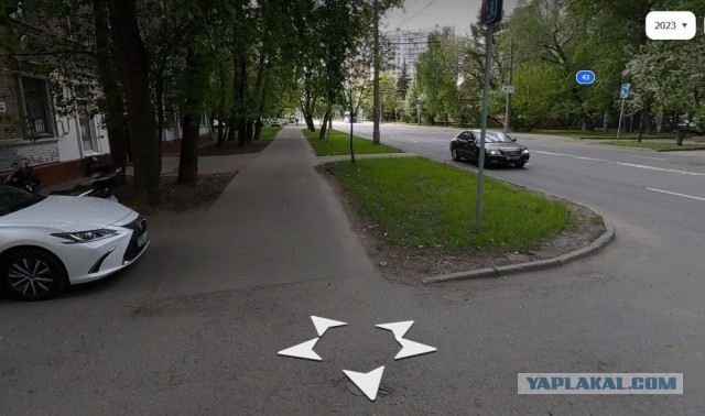 "А бордюры не простые. Всё скорлупки золотые"