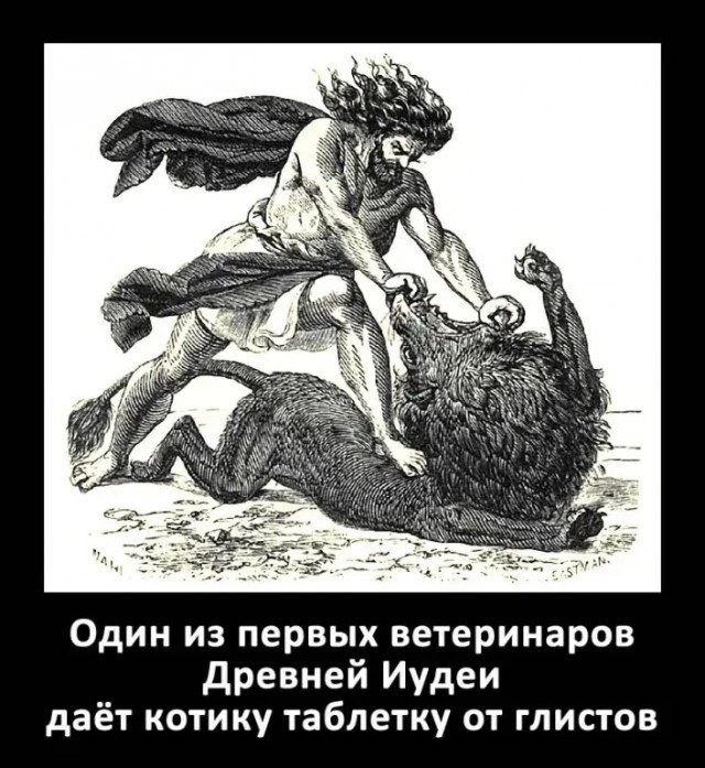 Так себе картинки 12.11.24
