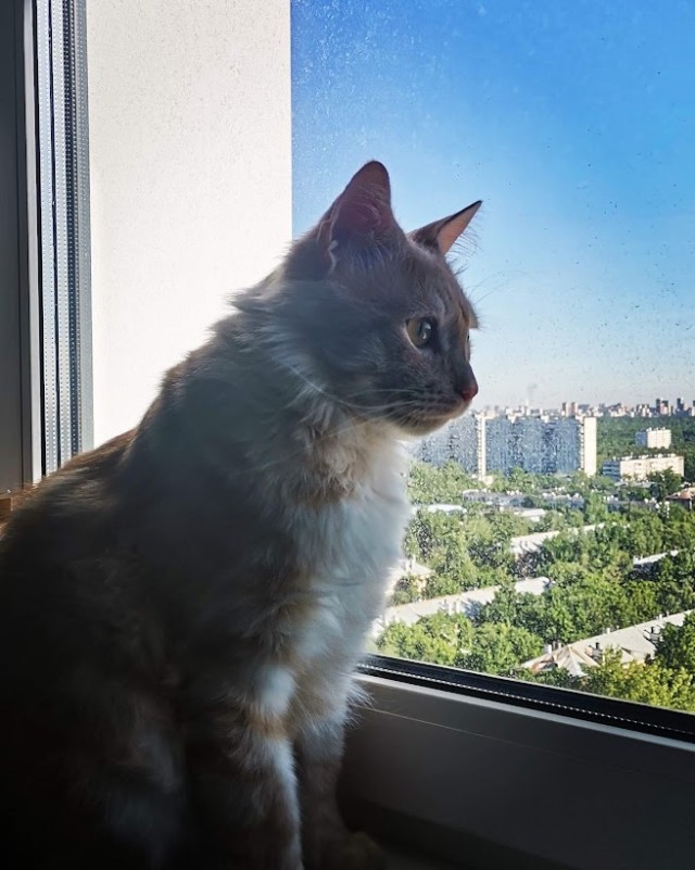 Сама пришла.