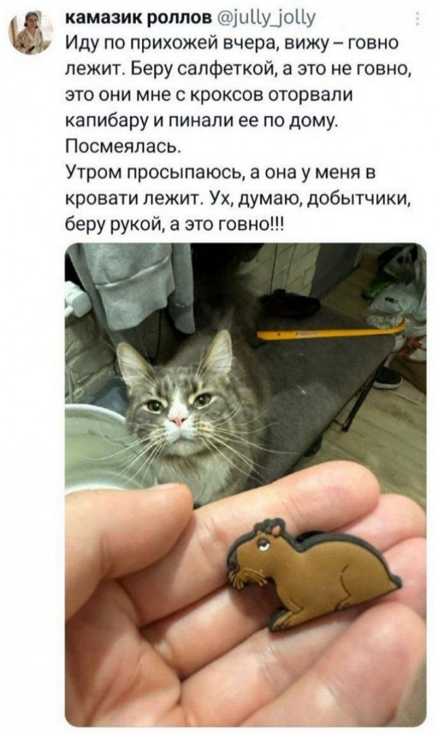 У меня муж дома