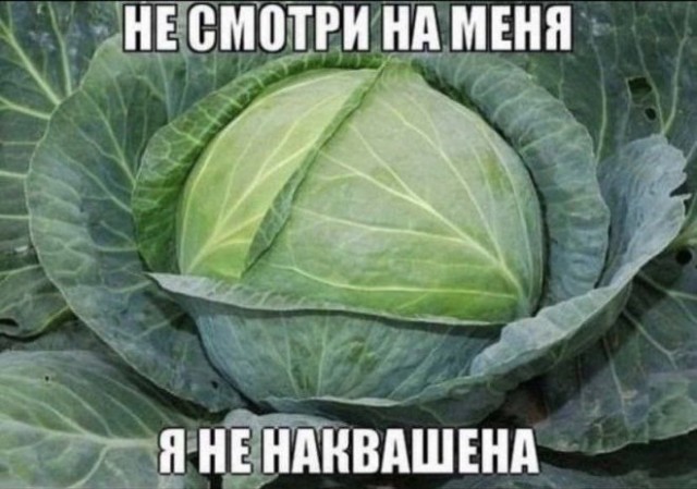 Веселые картинки в пятницу 25.02